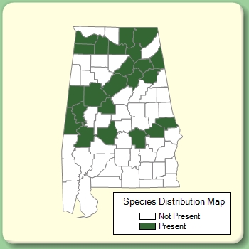 Species Distribution Map