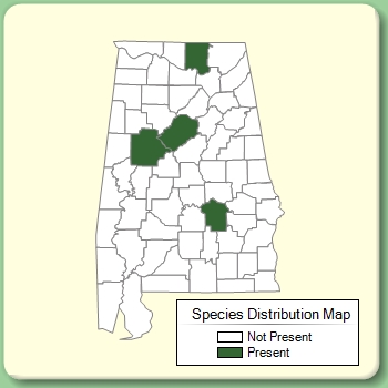 Species Distribution Map