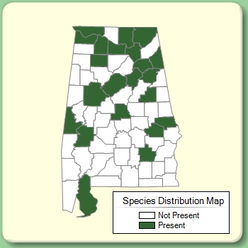 Species Distribution Map