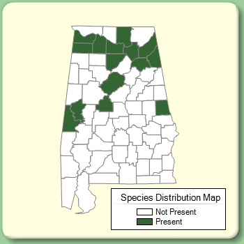 Species Distribution Map