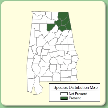 Species Distribution Map