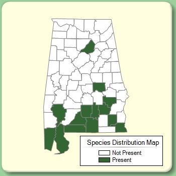 Species Distribution Map