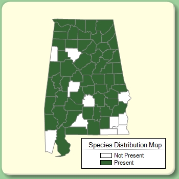 Species Distribution Map