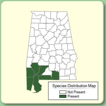 Species Distribution Map