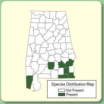 Species Distribution Map