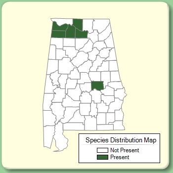 Species Distribution Map