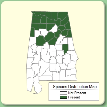 Species Distribution Map