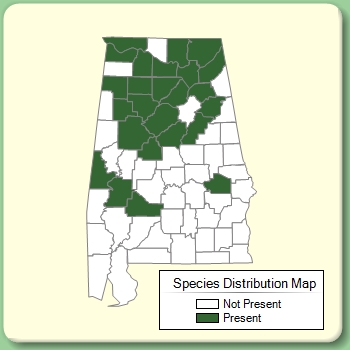 Species Distribution Map