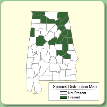 Species Distribution Map