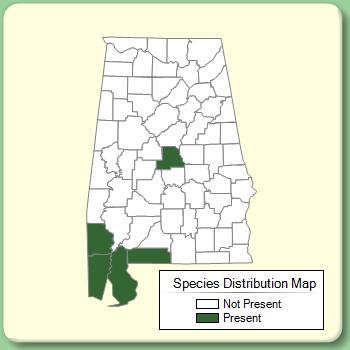 Species Distribution Map