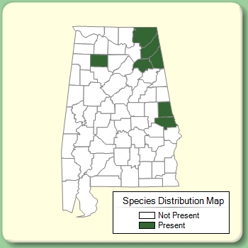 Species Distribution Map