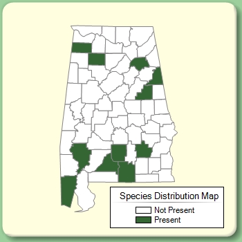 Species Distribution Map