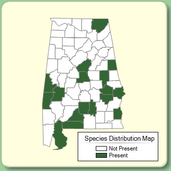 Species Distribution Map