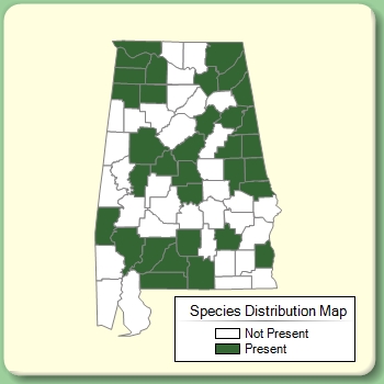 Species Distribution Map