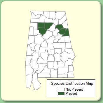 Species Distribution Map