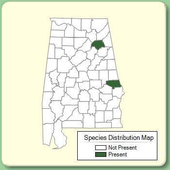 Species Distribution Map