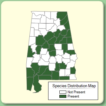 Species Distribution Map