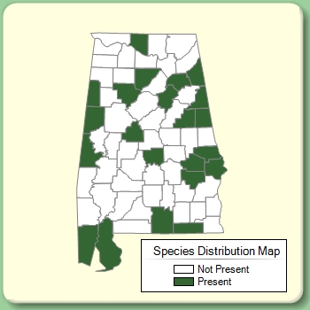 Species Distribution Map