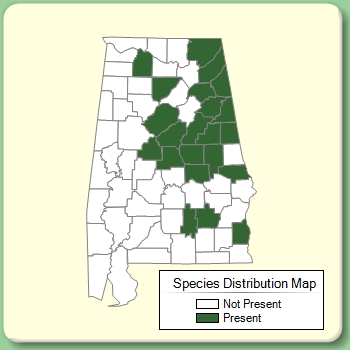 Species Distribution Map