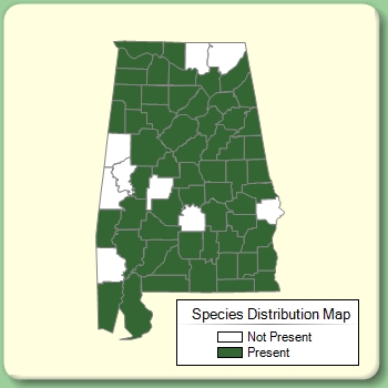 Species Distribution Map