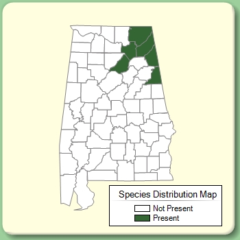 Species Distribution Map