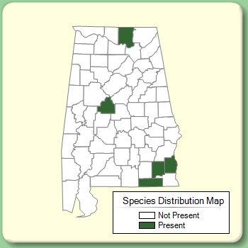 Species Distribution Map