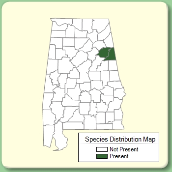 Species Distribution Map