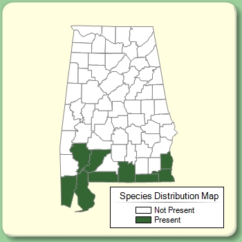 Species Distribution Map