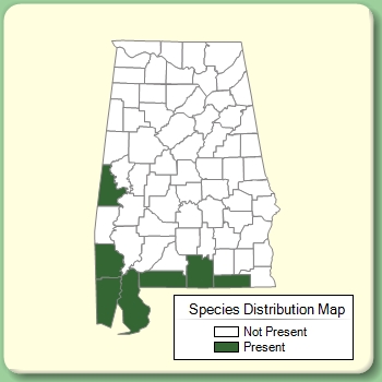 Species Distribution Map