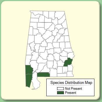 Species Distribution Map