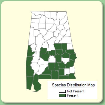 Species Distribution Map