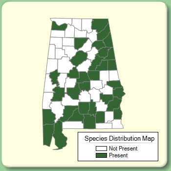 Species Distribution Map