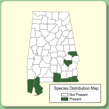 Species Distribution Map