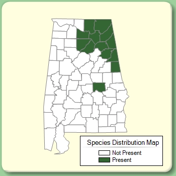 Species Distribution Map