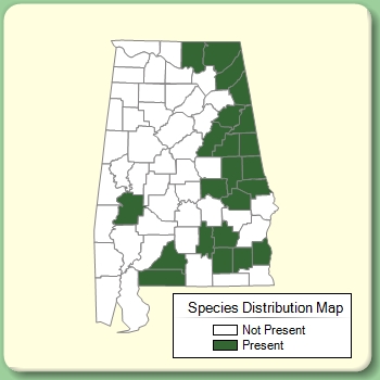 Species Distribution Map