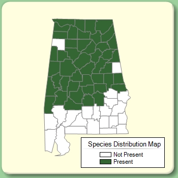 Species Distribution Map