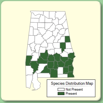 Species Distribution Map