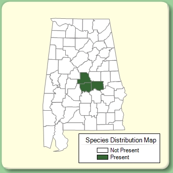 Species Distribution Map