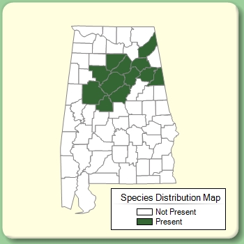 Species Distribution Map