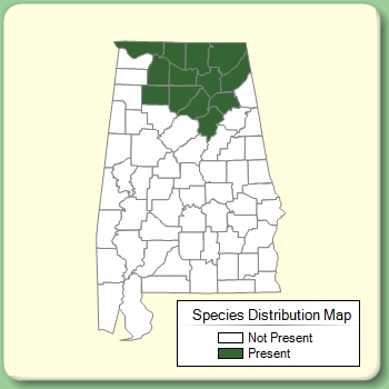 Species Distribution Map