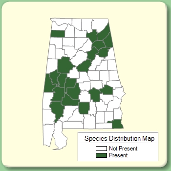 Species Distribution Map