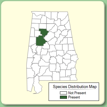 Species Distribution Map