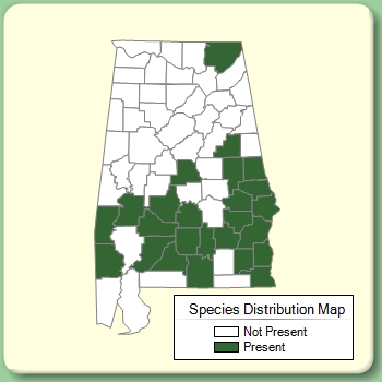 Species Distribution Map