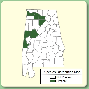 Species Distribution Map