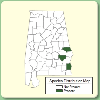 Species Distribution Map