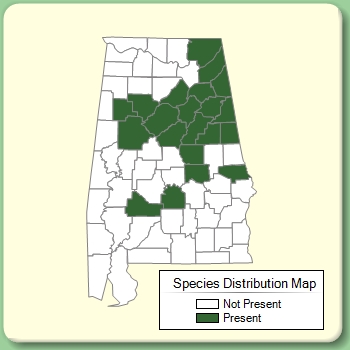 Species Distribution Map