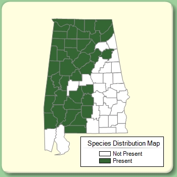 Species Distribution Map