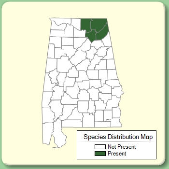 Species Distribution Map