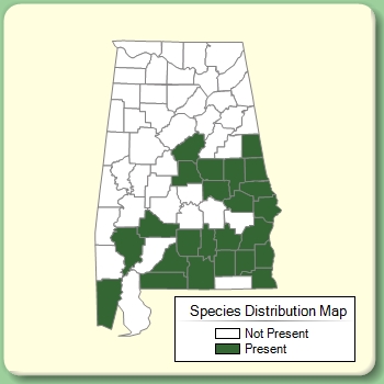 Species Distribution Map