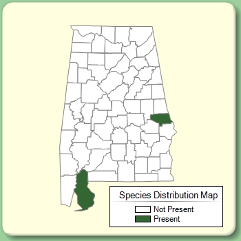 Species Distribution Map